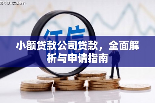 玉州小额贷款公司贷款，全面解析与申请指南