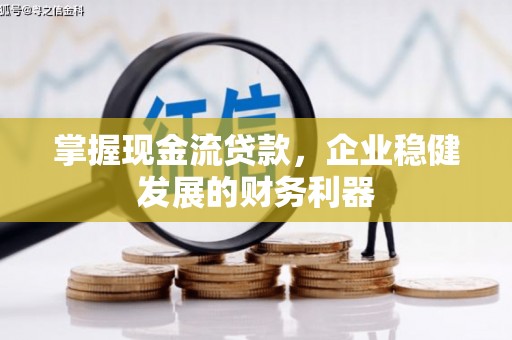 玉州掌握现金流贷款，企业稳健发展的财务利器