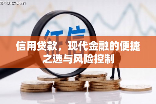 玉州信用贷款，现代金融的便捷之选与风险控制
