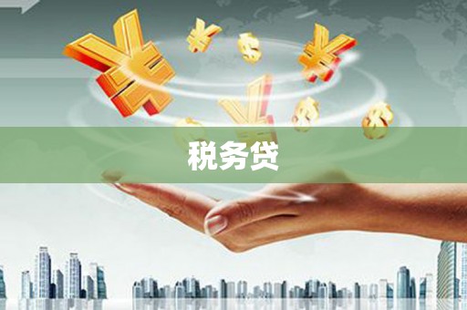 玉州税务贷
