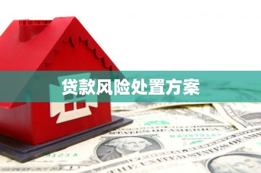 玉州贷款风险处置方案