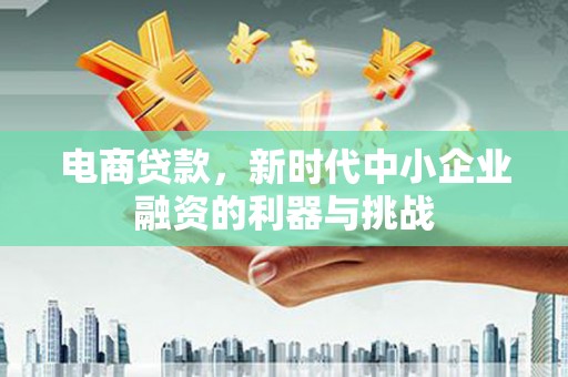 玉州电商贷款，新时代中小企业融资的利器与挑战