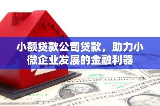 玉州小额贷款公司贷款，助力小微企业发展的金融利器
