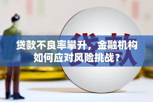玉州贷款不良率攀升，金融机构如何应对风险挑战？