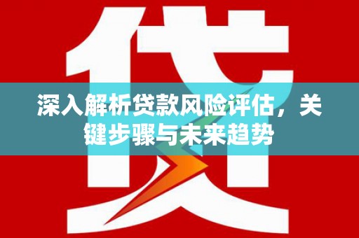玉州深入解析贷款风险评估，关键步骤与未来趋势