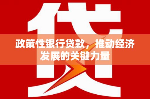 玉州政策性银行贷款，推动经济发展的关键力量
