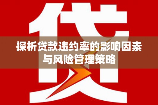 玉州探析贷款违约率的影响因素与风险管理策略