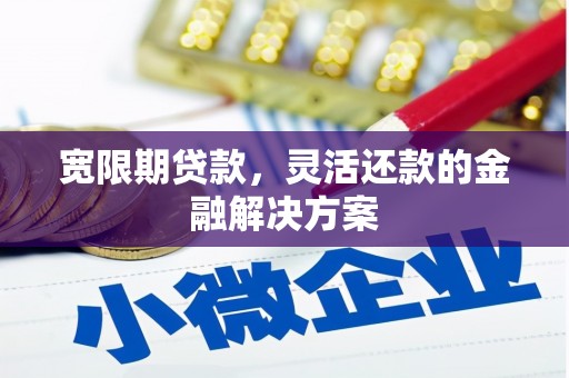玉州宽限期贷款，灵活还款的金融解决方案