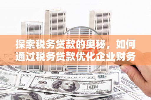 玉州探索税务贷款的奥秘，如何通过税务贷款优化企业财务