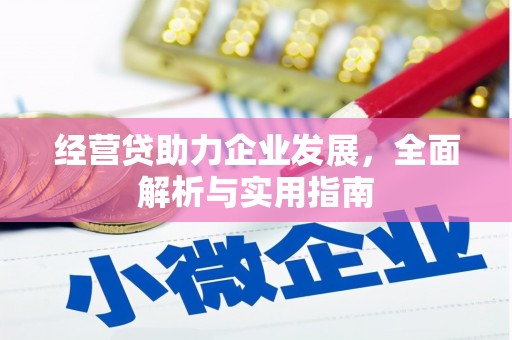 玉州经营贷助力企业发展，全面解析与实用指南