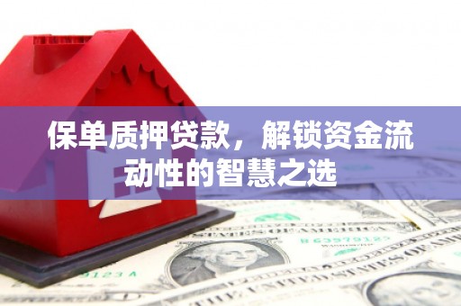 玉州保单质押贷款，解锁资金流动性的智慧之选