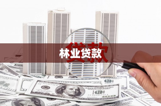 玉州林业贷款