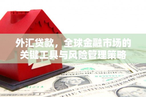 玉州外汇贷款，全球金融市场的关键工具与风险管理策略