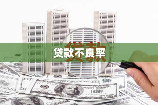 玉州贷款不良率