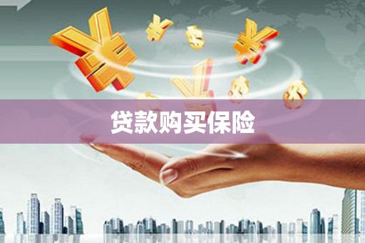 玉州贷款购买保险