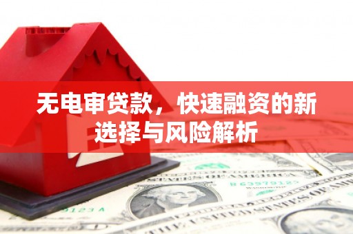 玉州无电审贷款，快速融资的新选择与风险解析