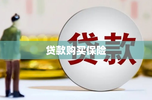 玉州贷款购买保险