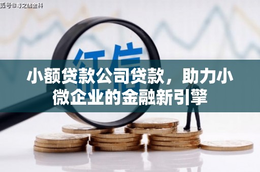玉州小额贷款公司贷款，助力小微企业的金融新引擎