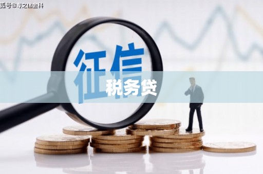 玉州税务贷