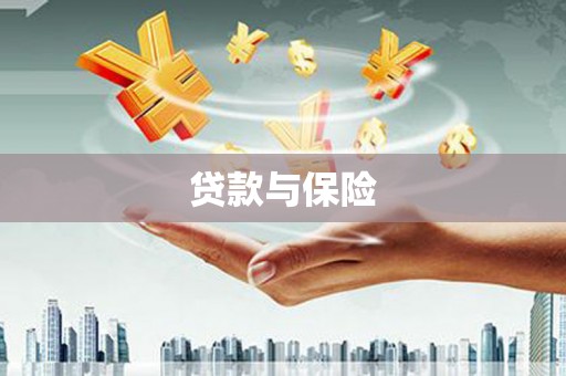 玉州贷款与保险
