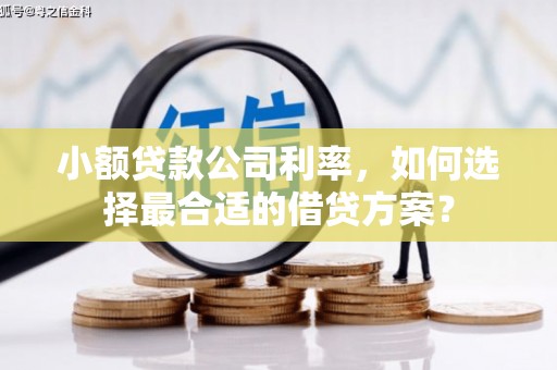 玉州小额贷款公司利率，如何选择最合适的借贷方案？