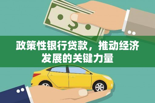 玉州政策性银行贷款，推动经济发展的关键力量