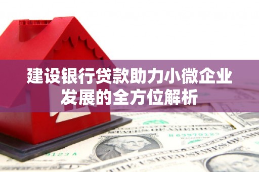 玉州建设银行贷款助力小微企业发展的全方位解析