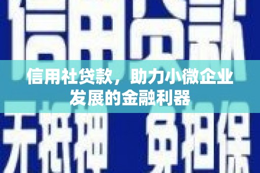 玉州信用社贷款，助力小微企业发展的金融利器
