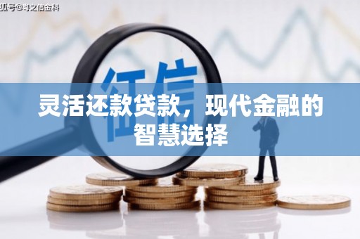 玉州灵活还款贷款，现代金融的智慧选择