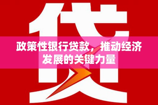 玉州政策性银行贷款，推动经济发展的关键力量