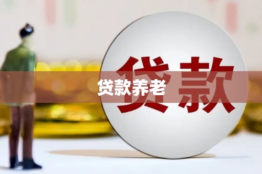 玉州贷款养老
