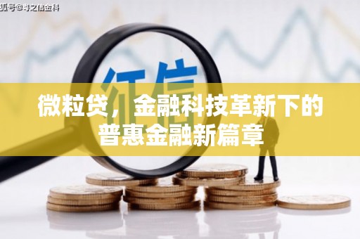 玉州微粒贷，金融科技革新下的普惠金融新篇章