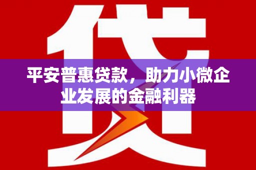玉州平安普惠贷款，助力小微企业发展的金融利器