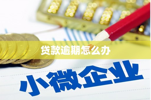 玉州贷款逾期怎么办