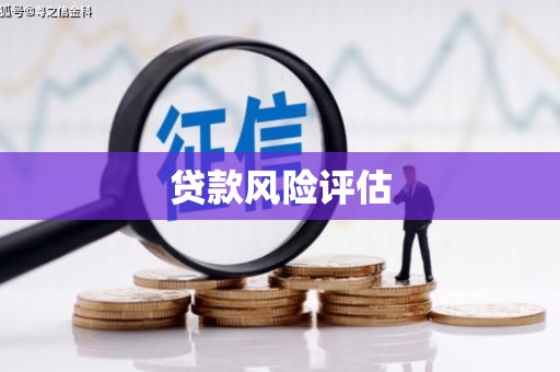 玉州贷款风险评估