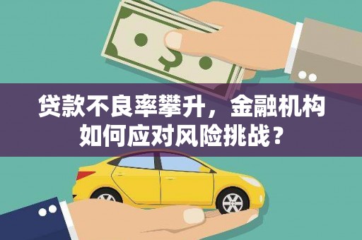 玉州贷款不良率攀升，金融机构如何应对风险挑战？