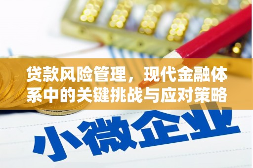 玉州贷款风险管理，现代金融体系中的关键挑战与应对策略