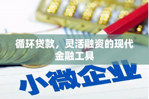 玉州循环贷款，灵活融资的现代金融工具