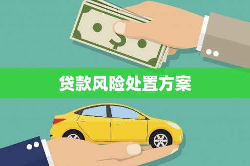 玉州贷款风险处置方案