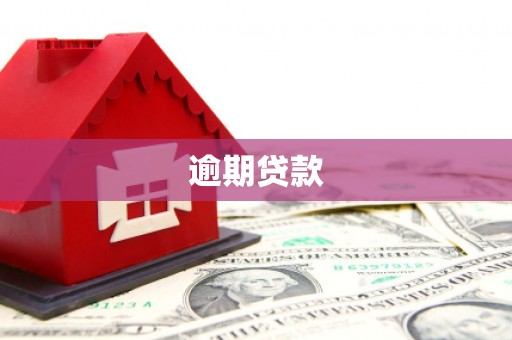 玉州逾期贷款